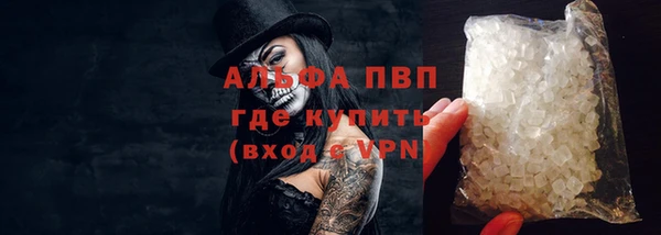 ПСИЛОЦИБИНОВЫЕ ГРИБЫ Снежногорск