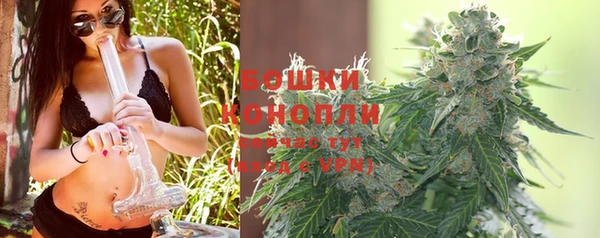 мдпв Снежинск