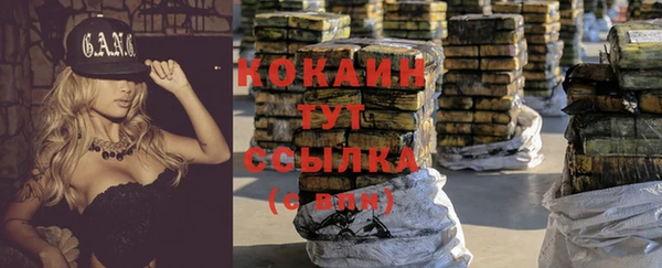 ПСИЛОЦИБИНОВЫЕ ГРИБЫ Снежногорск