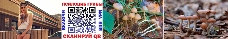 Псилоцибиновые грибы мицелий  Купить где  Осинники 